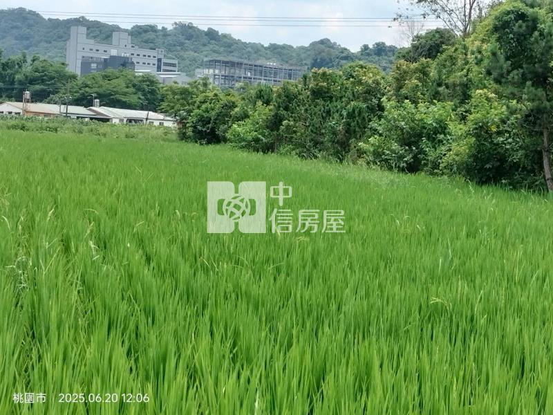 大溪月眉花海特農房屋室內格局與周邊環境