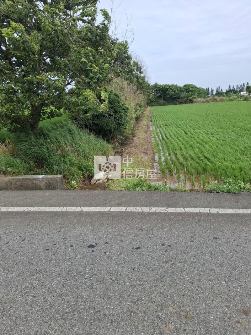 觀音金橋路農地房屋室內格局與周邊環境