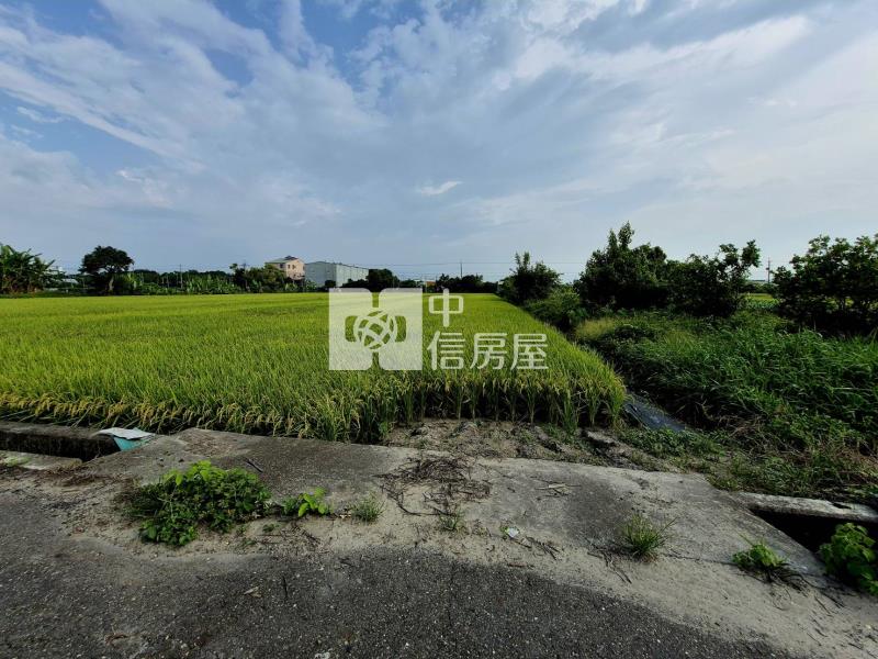 雲科竹圍子區旁680美農地房屋室內格局與周邊環境