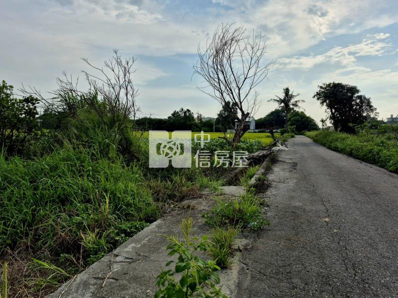 雲科竹圍子區旁680美農地房屋室內格局與周邊環境