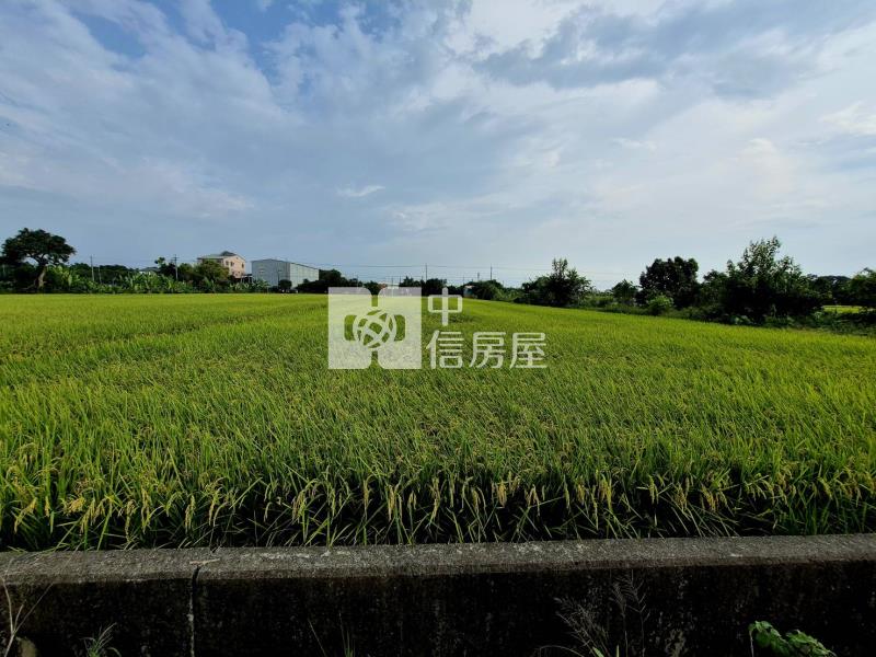 雲科竹圍子區旁680美農地房屋室內格局與周邊環境