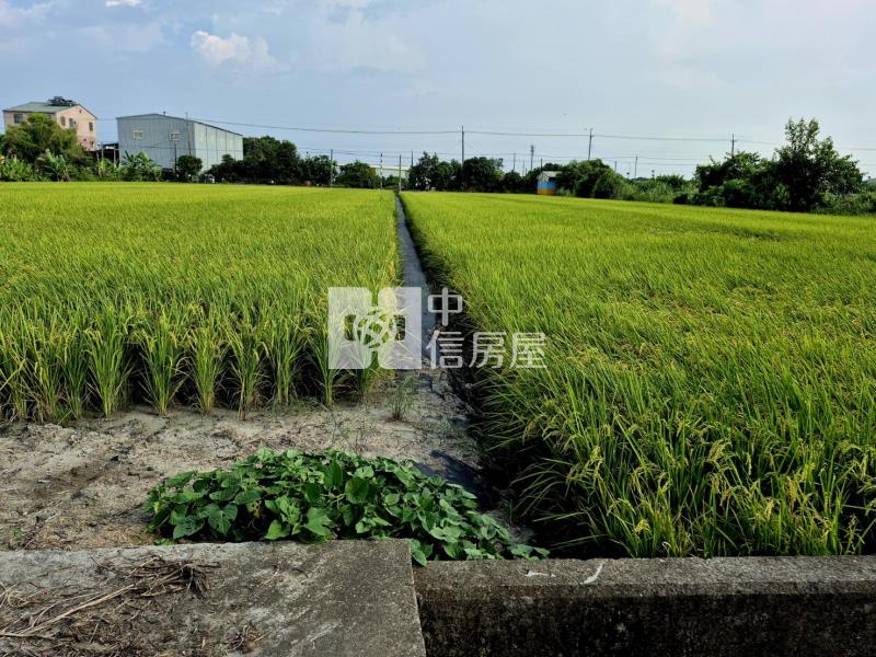 雲科竹圍子區旁680美農地房屋室內格局與周邊環境