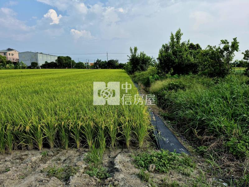 雲科竹圍子區旁680美農地房屋室內格局與周邊環境