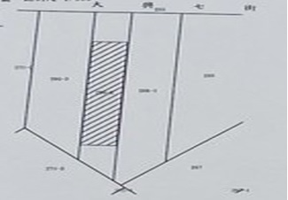 【奔馳】大竹全新獨棟鋼構挑高透店房屋室內格局與周邊環境