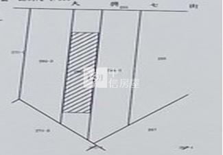 【奔馳】大竹全新獨棟鋼構挑高透店房屋室內格局與周邊環境