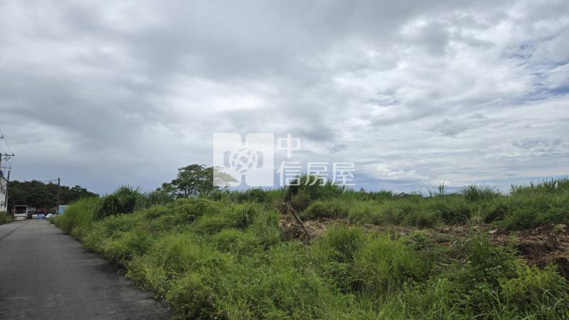 近台31稀有丁建房屋室內格局與周邊環境