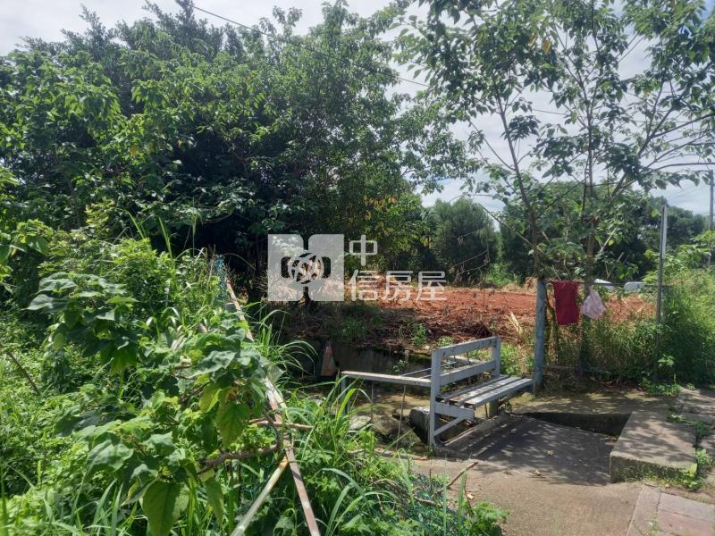 楊梅埔心分割小農地房屋室內格局與周邊環境