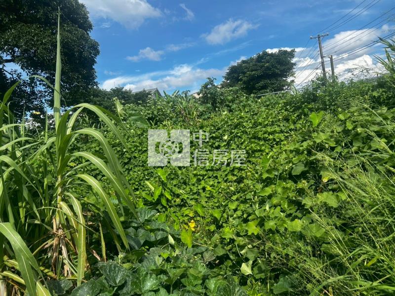 大溪交流道建地房屋室內格局與周邊環境