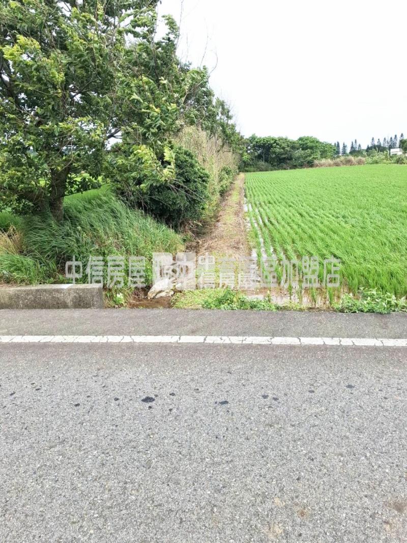 觀音育仁國小8米路農地房屋室內格局與周邊環境
