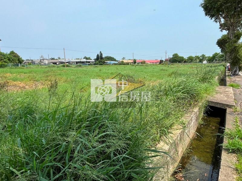 【星鑽】山東路前後臨路方正美農田房屋室內格局與周邊環境