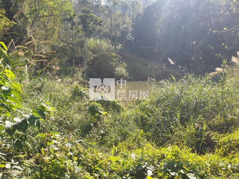 明德水庫 美林房屋室內格局與周邊環境