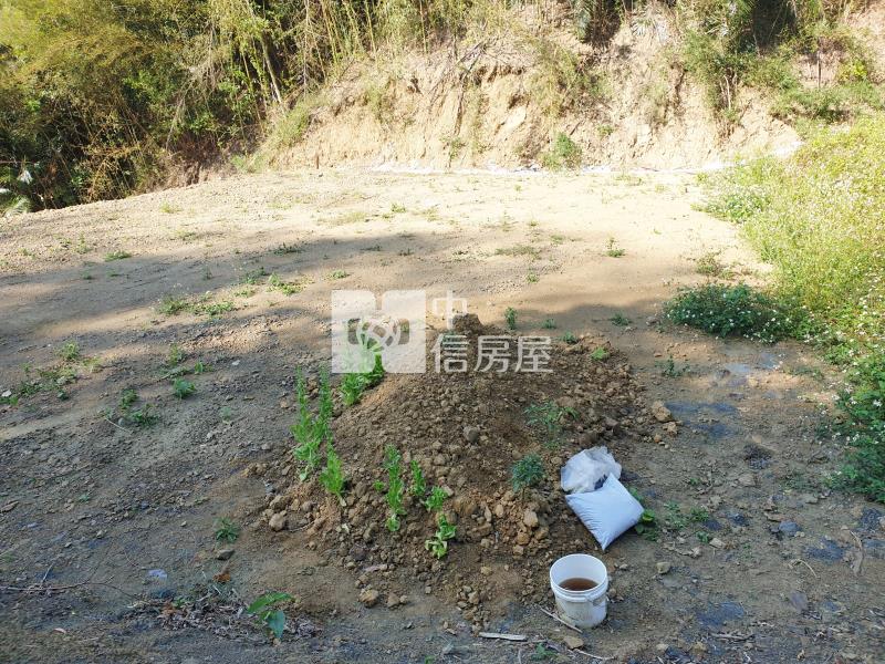 明德水庫 美林房屋室內格局與周邊環境