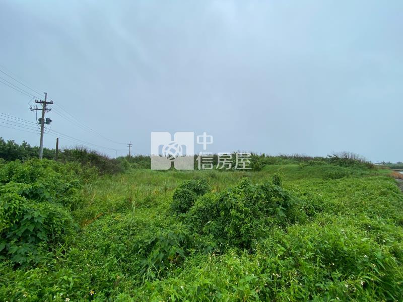 台西公館農地房屋室內格局與周邊環境