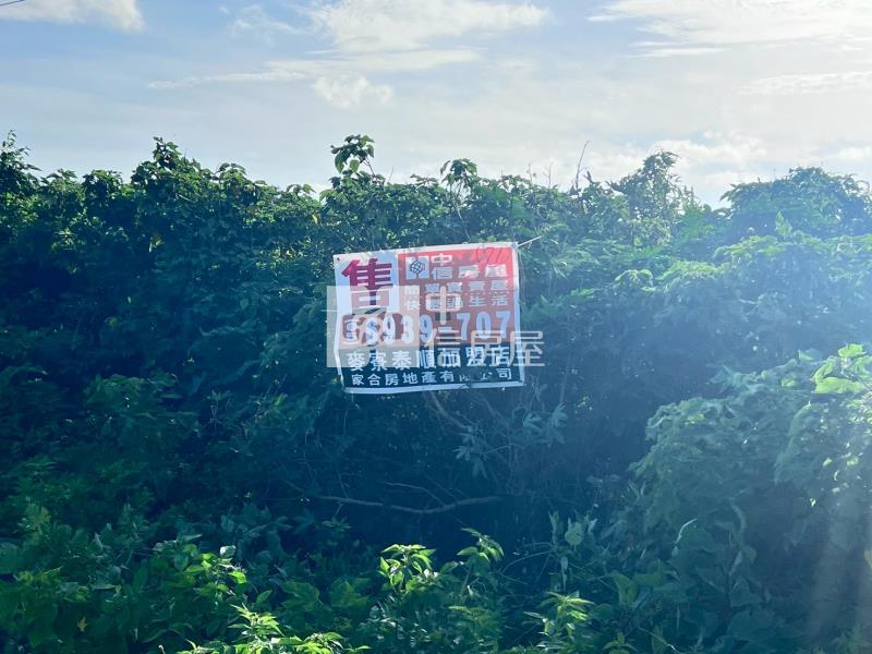 台西公館農地