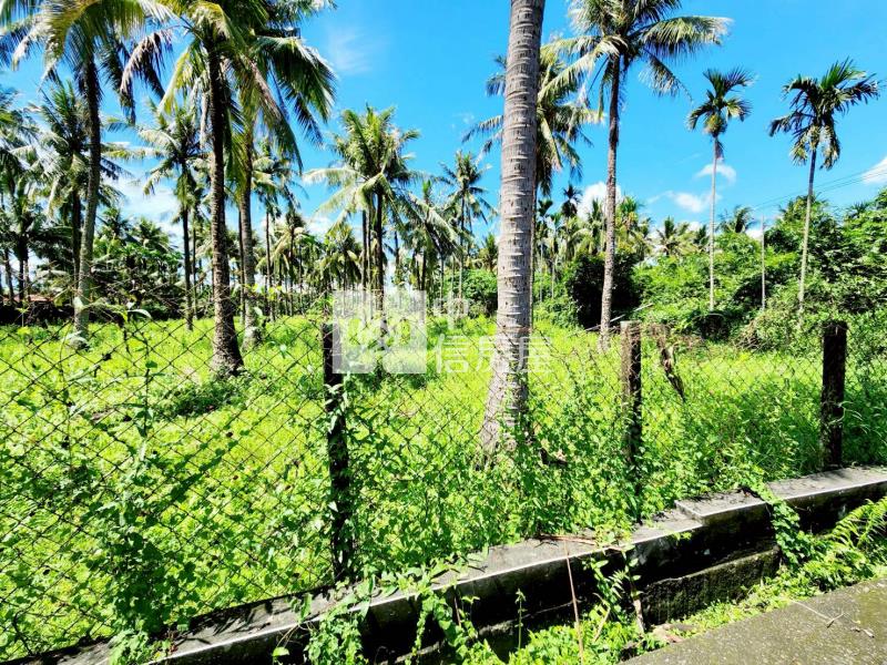 長治田野農地房屋室內格局與周邊環境