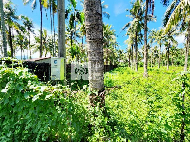 長治田野農地房屋室內格局與周邊環境