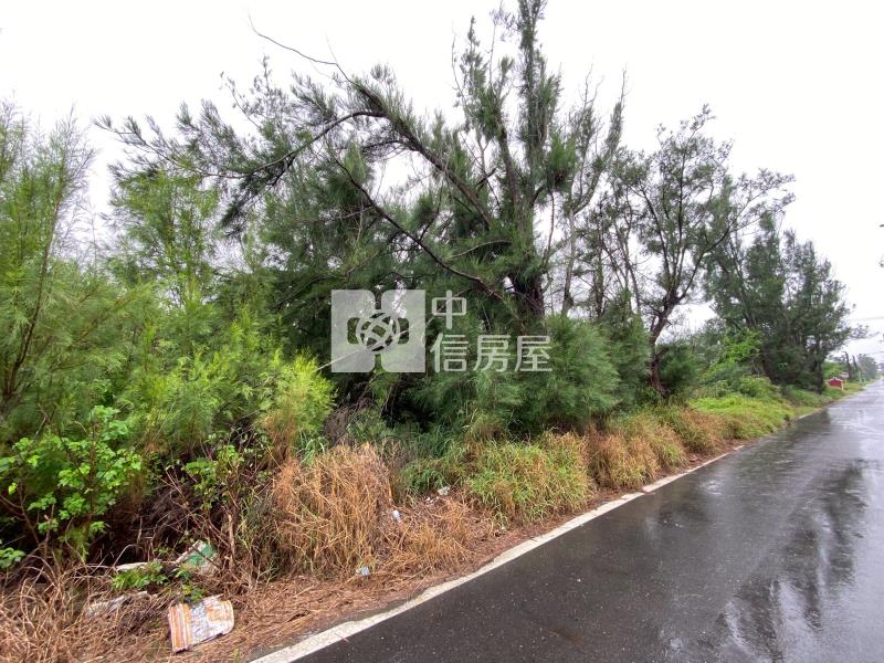 台西明德農地房屋室內格局與周邊環境