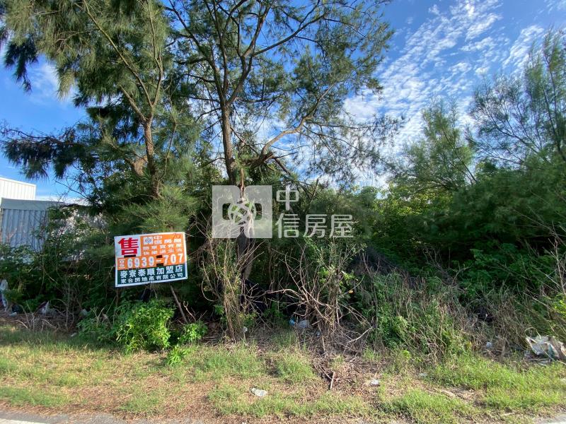 台西明德農地房屋室內格局與周邊環境
