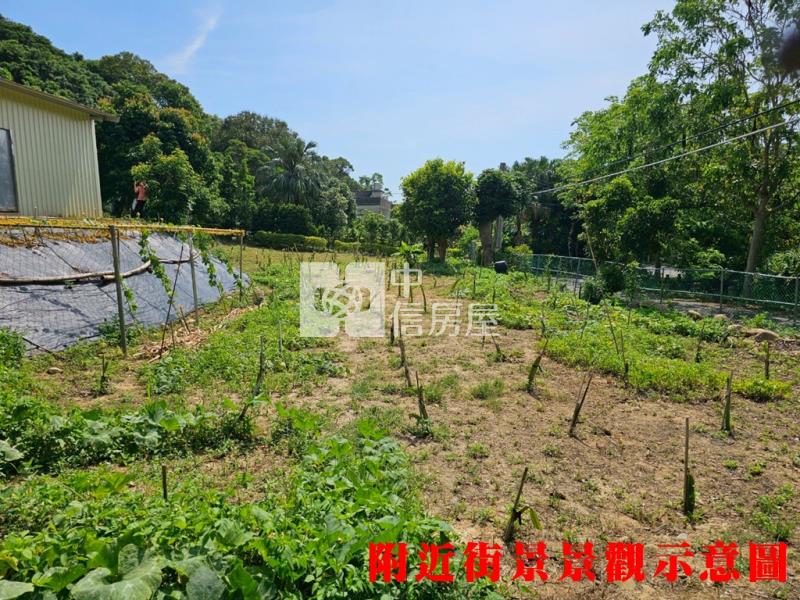 新埔旱北路休閒農地+資材室房屋室內格局與周邊環境