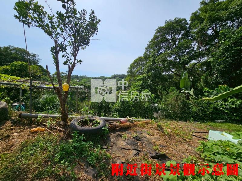 新埔旱北路有水有電農地+小木屋房屋室內格局與周邊環境