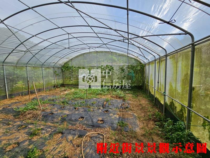 新埔旱北路有水有電農地+小木屋房屋室內格局與周邊環境
