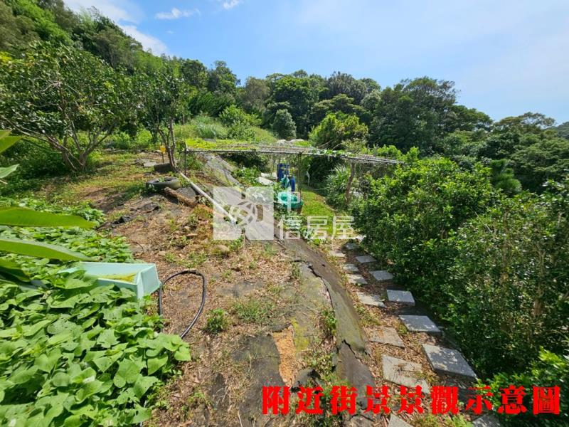 新埔旱北路有水有電農地+小木屋房屋室內格局與周邊環境