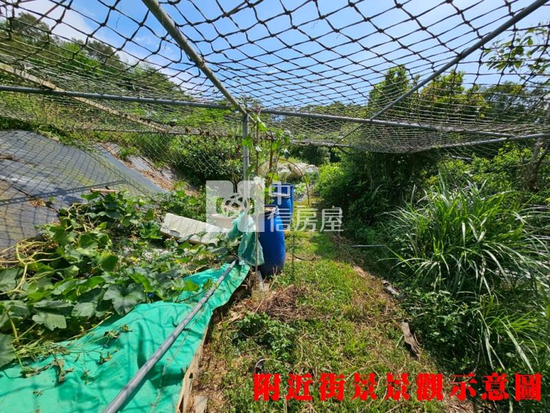 新埔旱北路有水有電農地+小木屋房屋室內格局與周邊環境