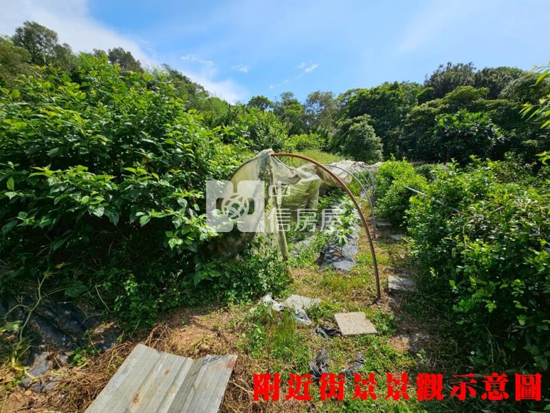 新埔旱北路有水有電農地+小木屋房屋室內格局與周邊環境
