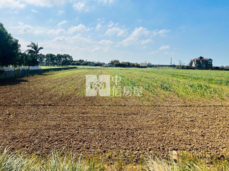 【安家】正育仁國小旁近66快速道路農地342坪房屋室內格局與周邊環境