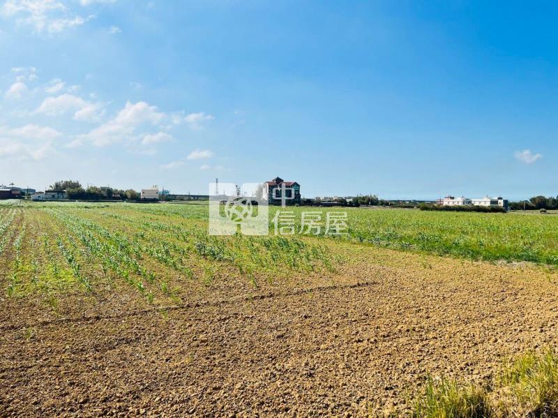【安家】正育仁國小旁近66快速道路農地342坪房屋室內格局與周邊環境