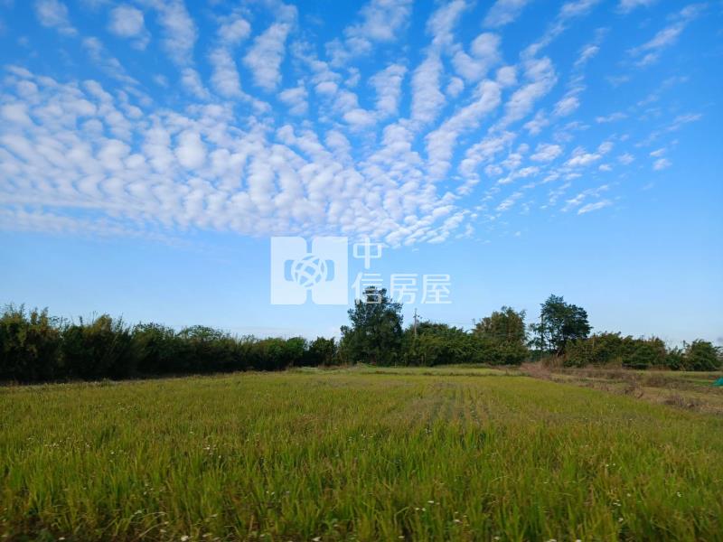 【安家】正育仁國小旁近66快速道路農地342坪房屋室內格局與周邊環境