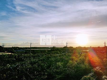 屏東土地 夕陽紅-高樹觀景農地房屋室內格局與周邊環境