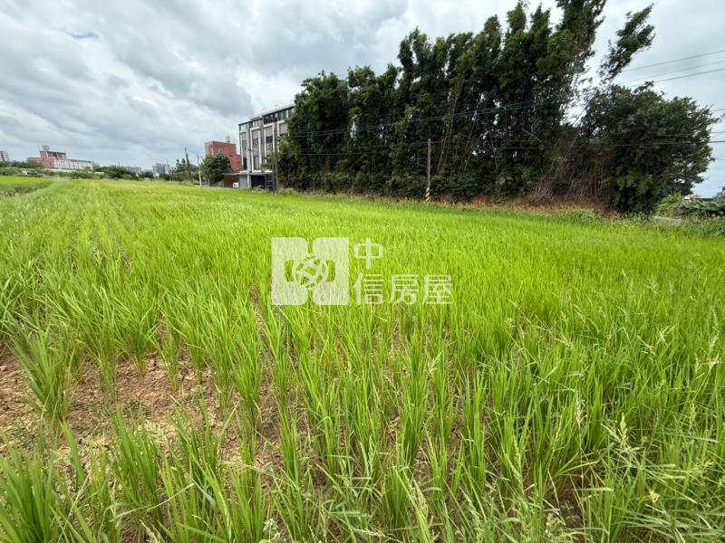 近青埔A19農地房屋室內格局與周邊環境