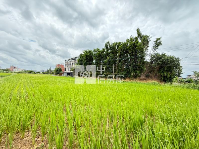 近青埔A19農地房屋室內格局與周邊環境