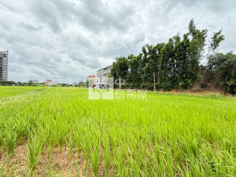 近青埔A19農地房屋室內格局與周邊環境