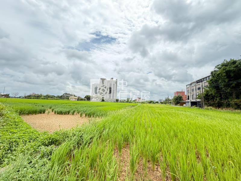 近青埔A19農地房屋室內格局與周邊環境