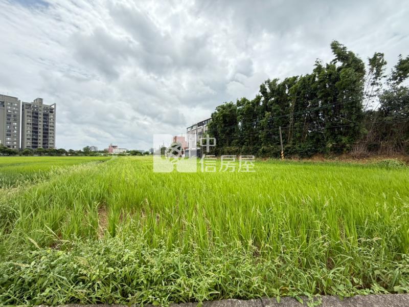近青埔A19農地房屋室內格局與周邊環境