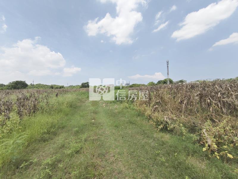 南科新市單價最便宜都內農地房屋室內格局與周邊環境