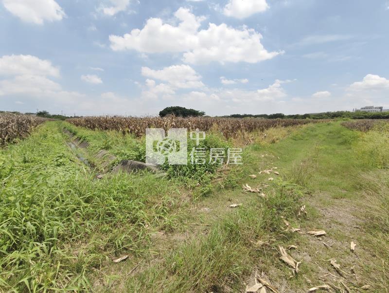 南科新市單價最便宜都內農地房屋室內格局與周邊環境