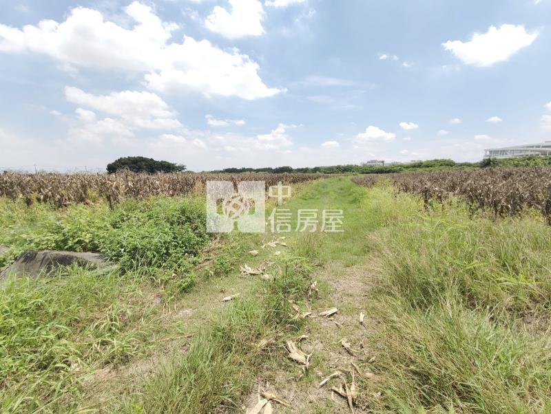 南科新市單價最便宜都內農地房屋室內格局與周邊環境