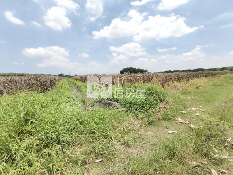 南科新市單價最便宜都內農地房屋室內格局與周邊環境