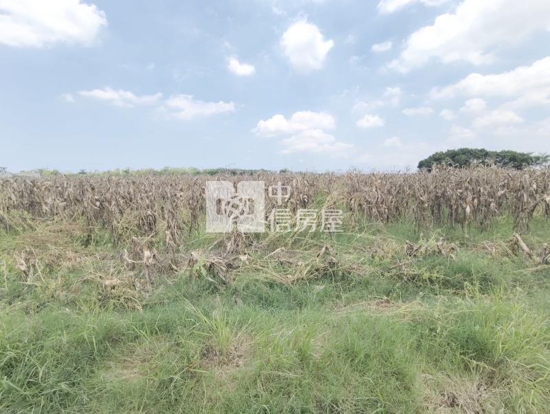南科新市單價最便宜都內農地房屋室內格局與周邊環境