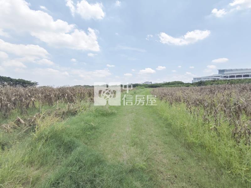 南科新市單價最便宜都內農地房屋室內格局與周邊環境