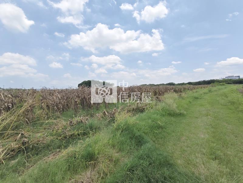南科新市單價最便宜都內農地房屋室內格局與周邊環境