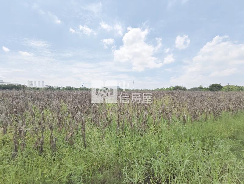 南科新市單價最便宜都內農地房屋室內格局與周邊環境