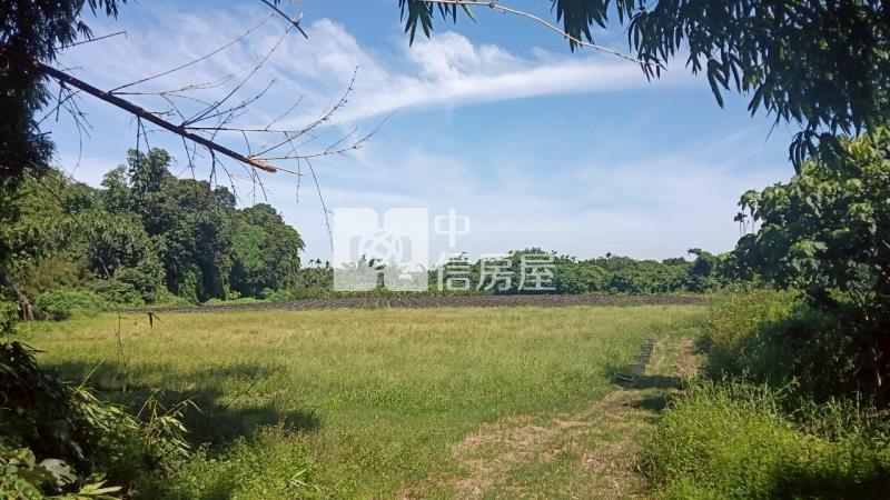 古坑水碓農地房屋室內格局與周邊環境