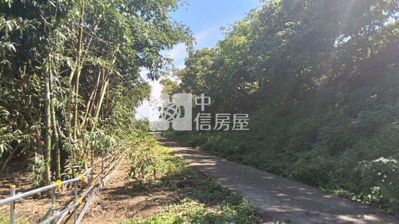 古坑水碓農地房屋室內格局與周邊環境