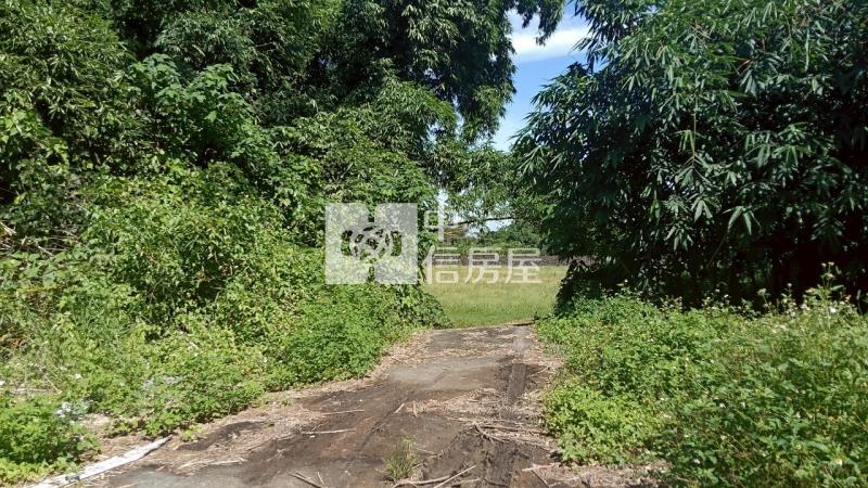 古坑水碓農地房屋室內格局與周邊環境