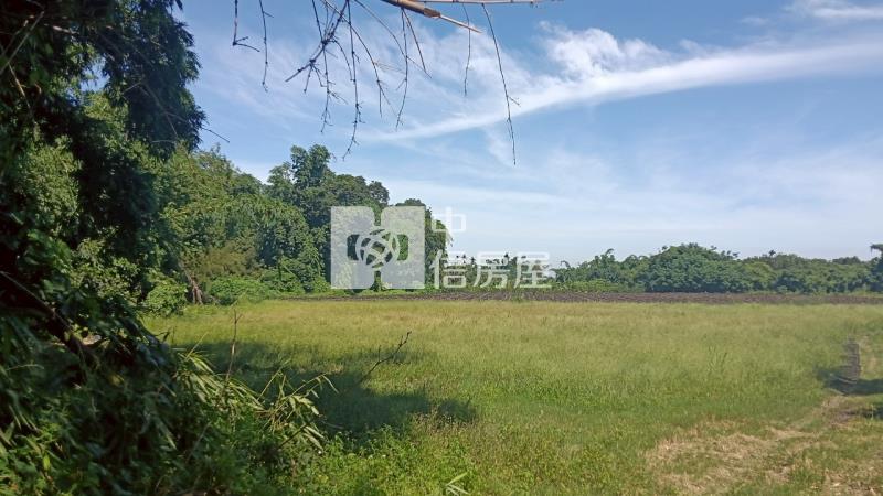 古坑水碓農地房屋室內格局與周邊環境
