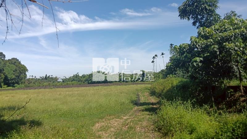 古坑水碓農地房屋室內格局與周邊環境